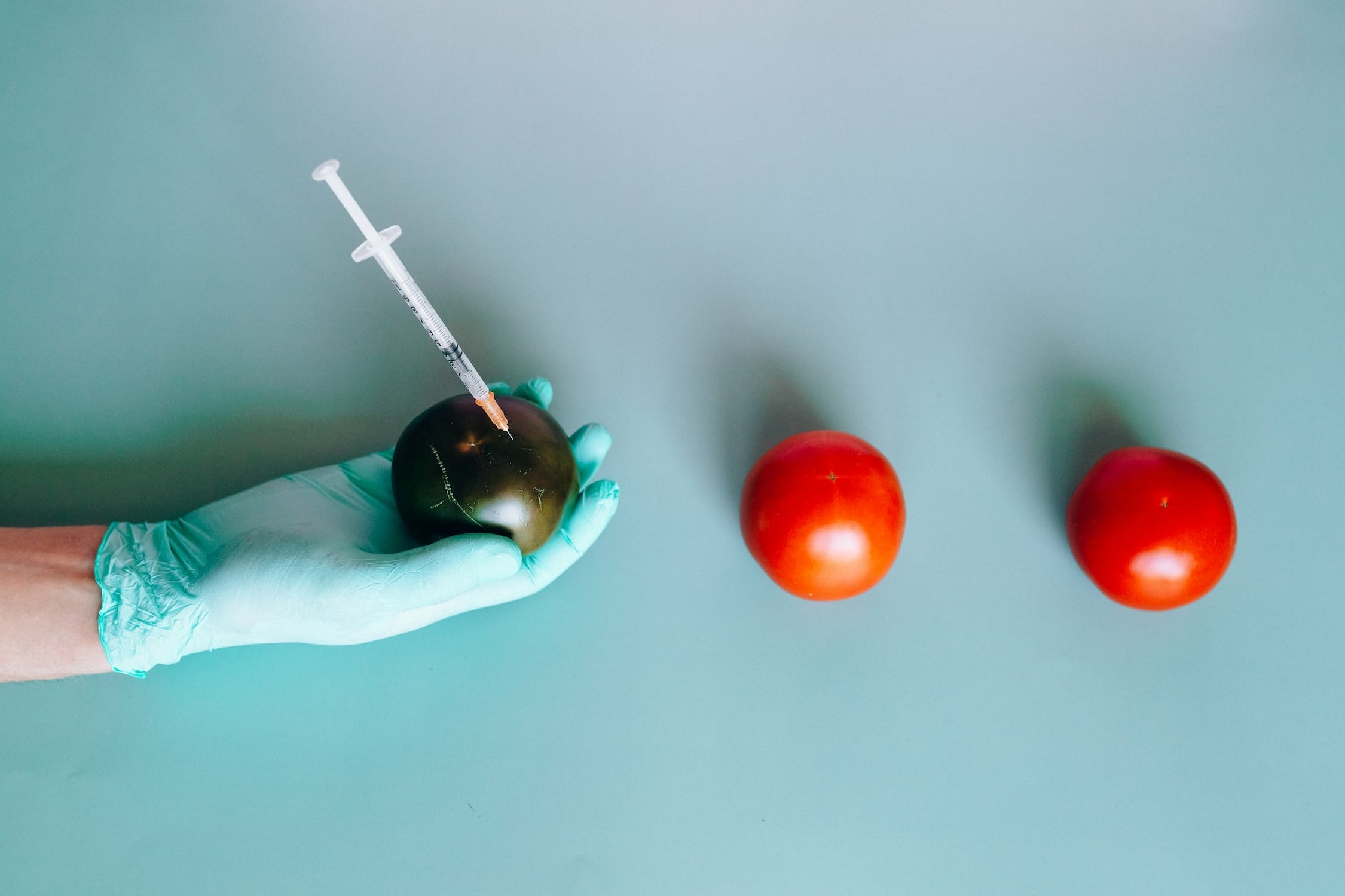 A person wearing medical gloves is holding a green tomato with a syringe injected into it.